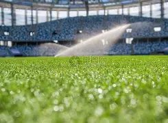 秒惊魂逆转,恩戈姆,姆贝克利妙,世界杯预选赛,2026预选赛,足球赛程,参赛球队,最新消息