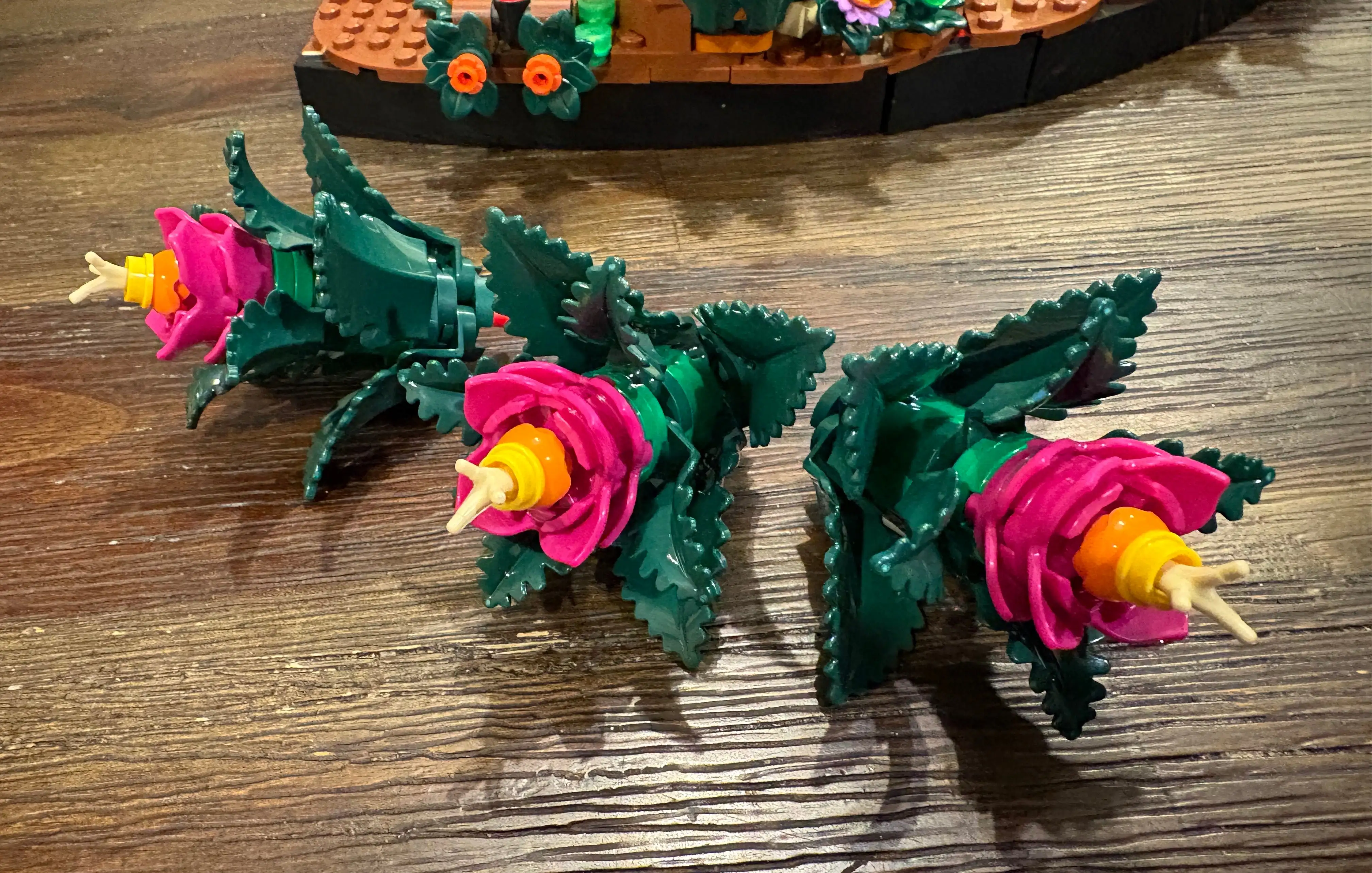 刘奕鸣展望,新援融入,盼下一役发,世界杯预选赛,2026预选赛,足球赛程,参赛球队,最新消息